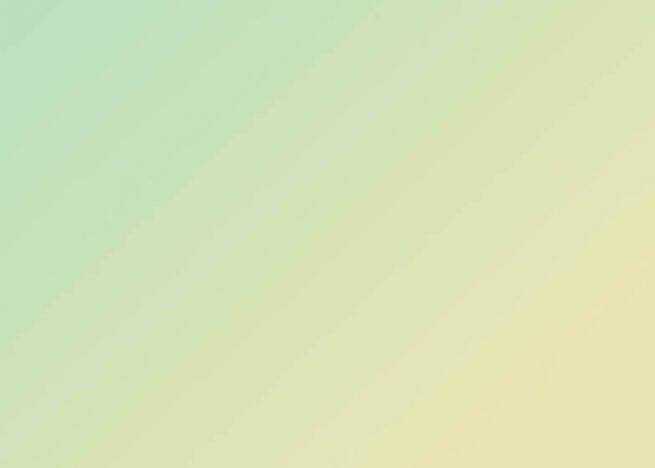 Presentatie en gespreksleiding